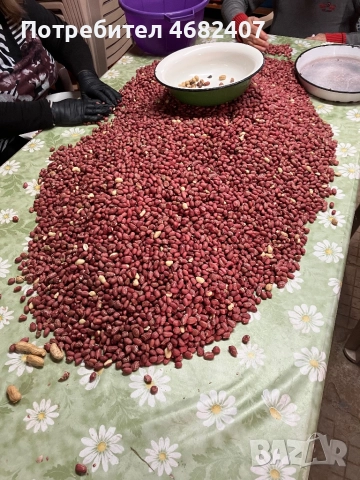 Български ФЪСТЪК, снимка 6 - Разсади - 52790593