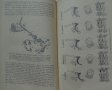 Книга устройство на  мотоциклета на Руски език 1956 година, снимка 15