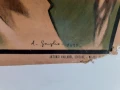 Много стар плакат антропологичен печат Човешките раси 1925г., снимка 2