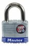 Катинар Master lock за огради, складове, помощни помещения, снимка 3