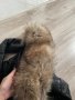 Яке естествена кожа и яка от лисица, снимка 4