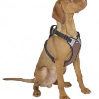 Мек и удобен за Кучета нагръдник в 3 размера , снимка 5 - За кучета - 26489855