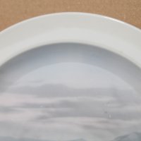 Немска порцеланова чиния за стена, снимка 2 - Колекции - 39663545