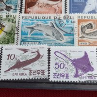 Пощенски марки смесени серий от цял свят ЖИВОТНИ много красиви за КОЛЕКЦИЯ 22585, снимка 11 - Филателия - 40444576