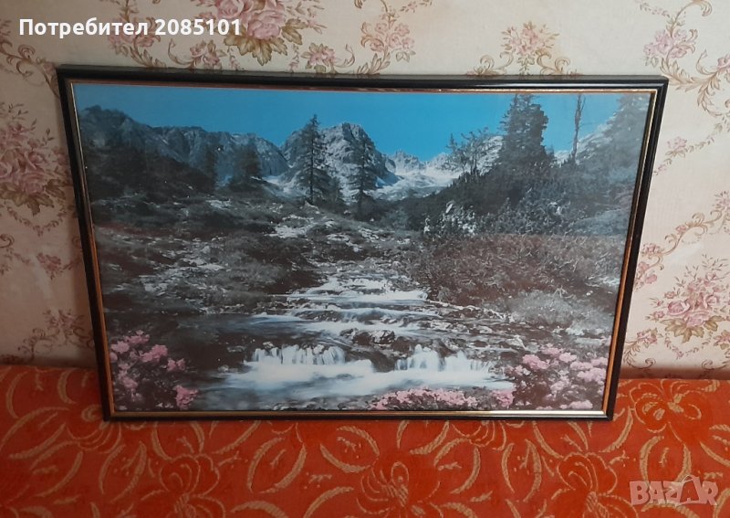 Картина 2, снимка 1