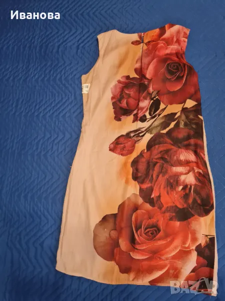 Рокля Дика, снимка 1