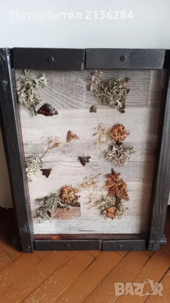 Картина, снимка 1