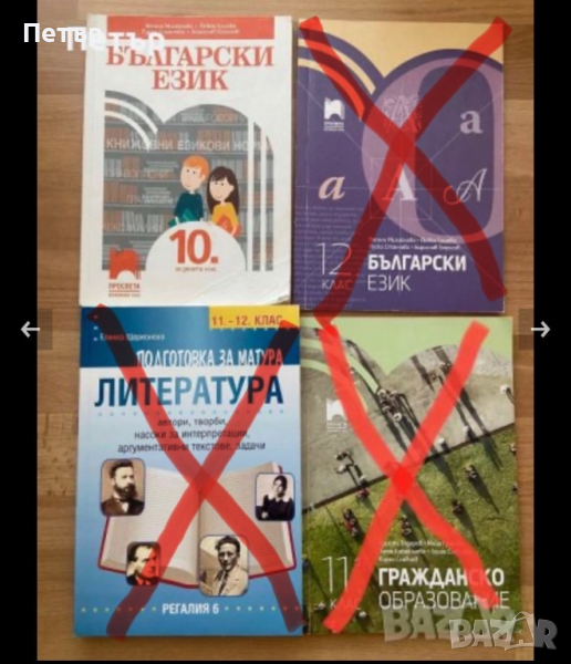 Учебници и помагала за 10, 11 и 12 кл., снимка 1