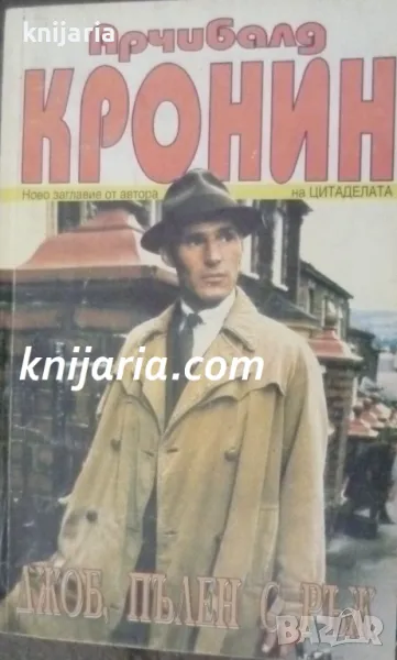 Джоб, пълен с ръж, снимка 1