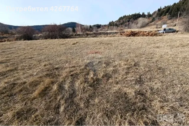 Поземлен имот в Езерово, снимка 11 - Парцели - 50132572