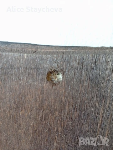 Икона Архангел Михаил , снимка 4 - Икони - 50582469