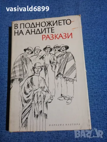 "В подножието на Андите"