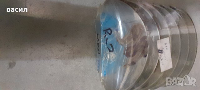 ЛАГЕРИ ОСНОВНИ И БИЕЛНИ MAN D2156.2356/RABA-IKARUS/ 11M4 , снимка 7 - Части - 39087450