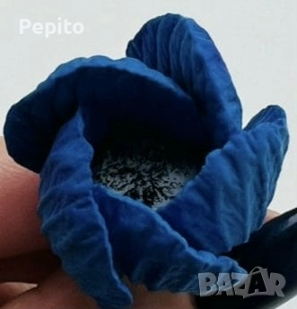 Нови молдове цветя, снимка 5 - Други - 52337636