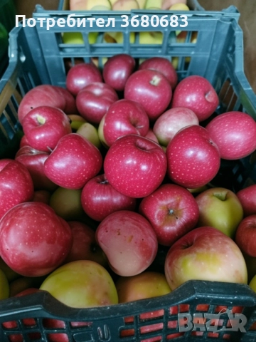 Ябълки, снимка 2 - Домашни продукти - 51703422