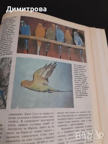 Стара книга Какво знаем за птиците, снимка 3 - Енциклопедии, справочници - 50428294