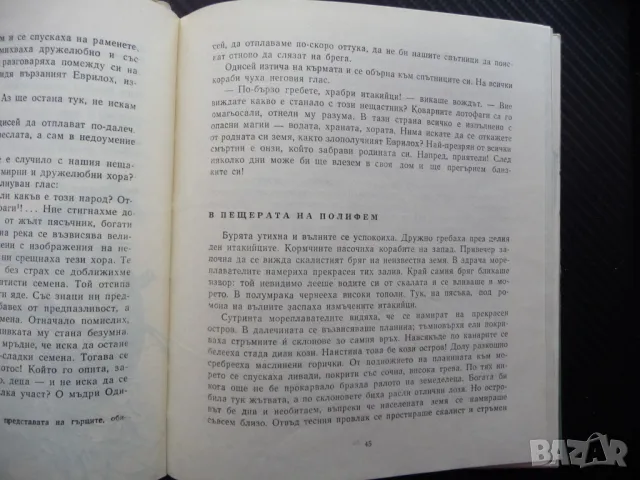 Приключенията на Одисей Елена Тудоровска митология Троя богове, снимка 3 - Художествена литература - 48111439