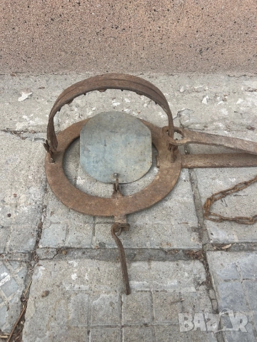 Голям капан за едър вреден дивеч, снимка 3 - Други животни - 49914382