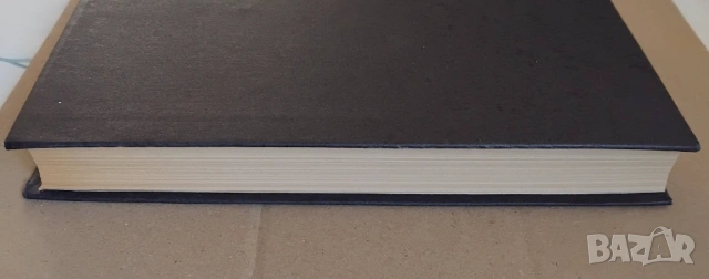 Книга Достоевски - том 12, "Писма и статии", снимка 8 - Художествена литература - 53450765