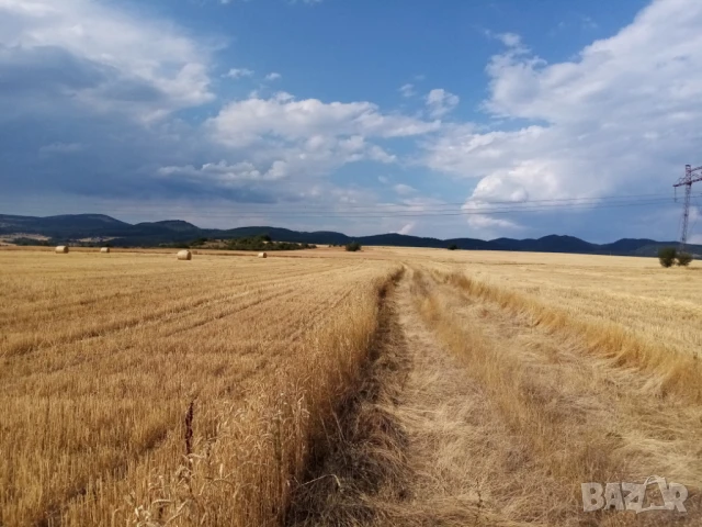 Парцел в гр. София, с. Доброславци намира се на земеделски път с лесен достъп. ПИ , снимка 6 - Парцели - 51400498