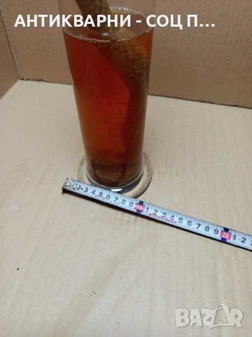 Стара Образователна Препарирана Носорога Усойница Пепелянка. , снимка 7 - Антикварни и старинни предмети - 52930839