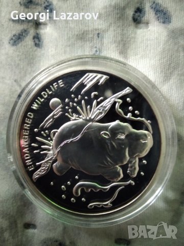 10 франка Хипопотам 2007 Конго, снимка 7 - Нумизматика и бонистика - 33423843