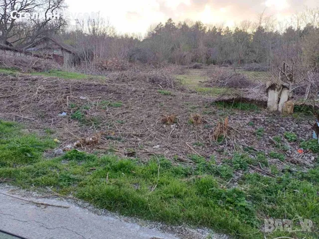 до трансформатор / паднала къща / терен / градина / имот / парцел 1790кв.м в с. Ветрен / обл. Силист, снимка 3 - Къщи - 49801463