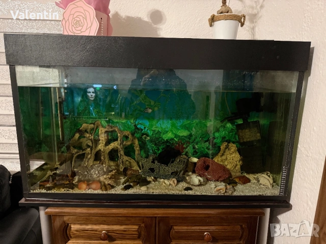 Аквариум 260л 