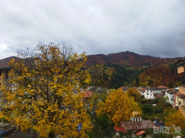 Продава етаж от къща в гр.Смолян, снимка 4 - Апартаменти - 52178450