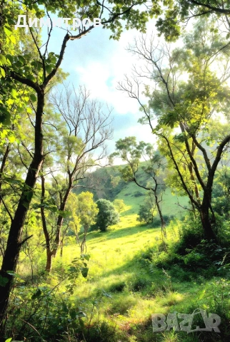 Продава парцел 648 м2, в жилищна зона на махала „Логатор”, село Гоз, гр. Брезник