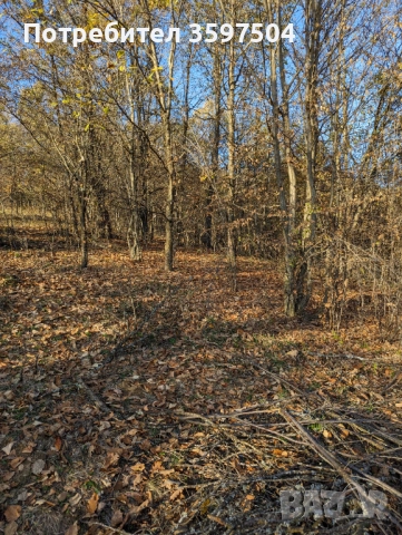 Парцел в Априлци 1000 м2, снимка 3 - Парцели - 52396292