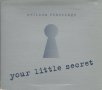 Melissa Etheridge-Your little secret, снимка 1