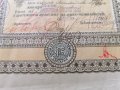Съюз на популярните банки | 5 Дяла по 100 лева | 1927г., снимка 5