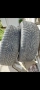 Nokian TYRES snowproof  2бр., снимка 2
