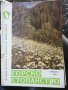 Горско стопанство - списание 1965 година, снимка 8
