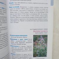 Книга Лечебните растения на България - Васил Канисков 2011 г., снимка 2 - Други - 43295258