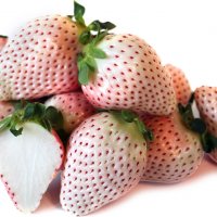 100 семена от плод бяла ягода органични плодови бели ягодови семена от вкусни ягоди отлични плодове , снимка 10 - Сортови семена и луковици - 37706682