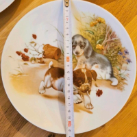Комплект от 3 чинии за стена  с животни* , снимка 3 - Чинии - 44872567