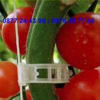 50 броя щипка - клипс за подържане на домати и растения - КОД 3691, снимка 4 - Други - 36674902