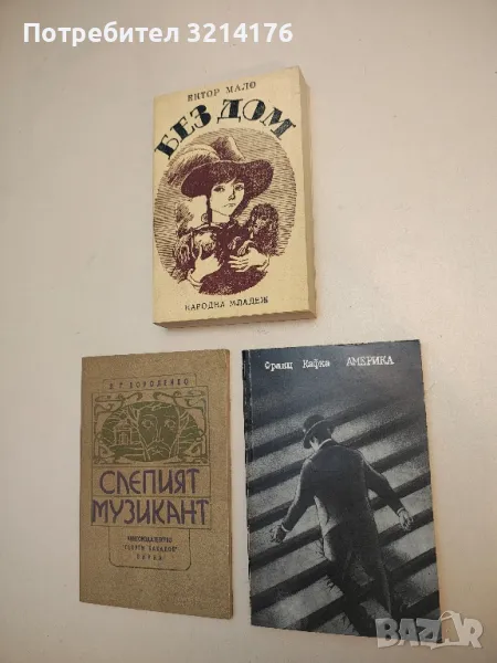 Америка - Франц Кафка, снимка 1