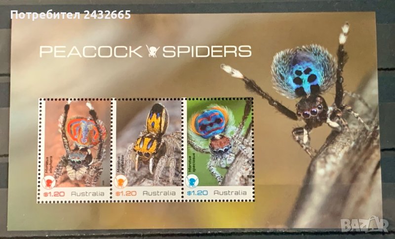 1873. Австралия 2023 = “ Фауна. Паунови паяци. ”, **, MNH, снимка 1
