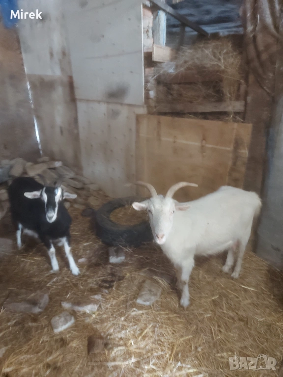 за продажба, снимка 1