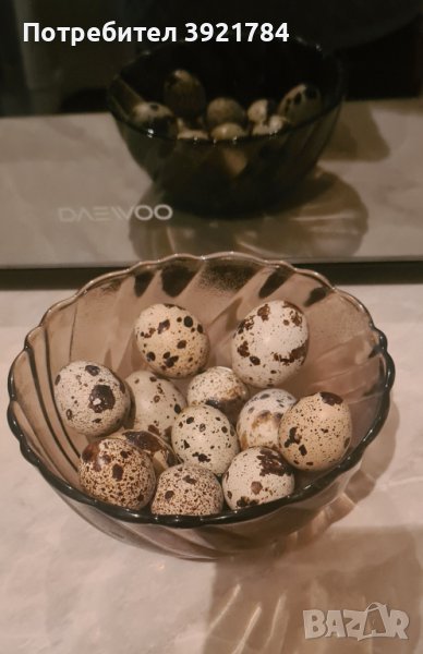 Пъдпъдъчи яйца за консумация, снимка 1