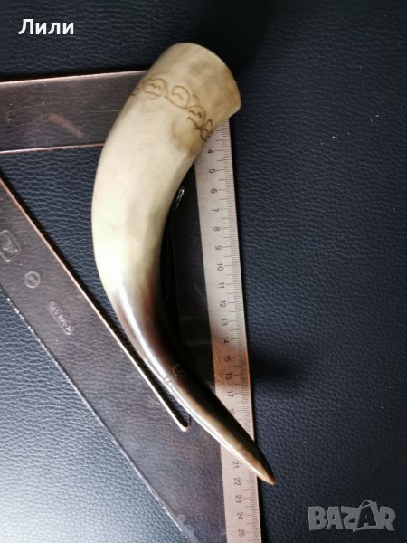 Чаша от рог, за декорация, снимка 1