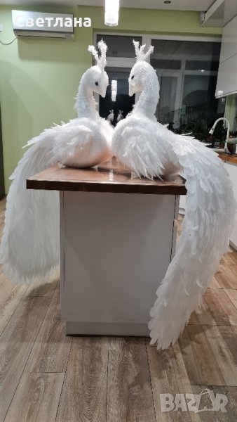 Декоративен паун, снимка 1