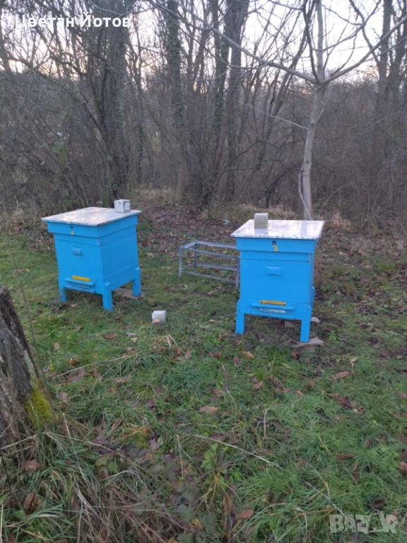 продавам 4бр. кошери, заедно с пчелни семейства и инвентар, снимка 1