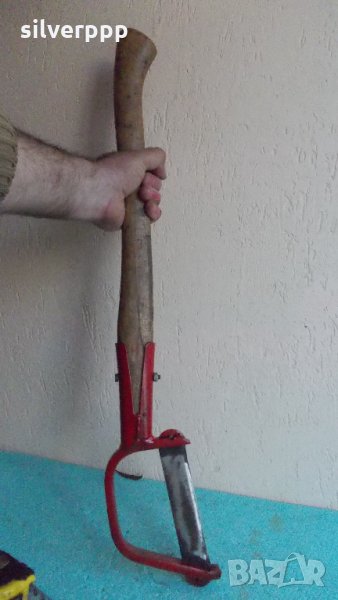  Кастрачка на клони , снимка 1