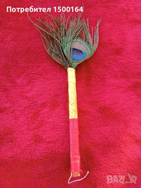 Пера от опашка на мъжки паун, снимка 1