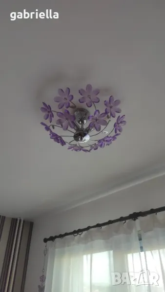 Красив Полилей , снимка 1