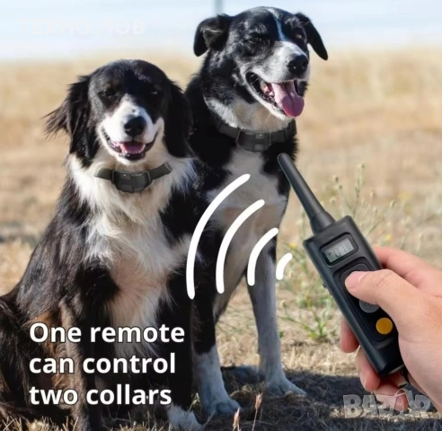 Електронен нашийник DK-325 с вибрация, ток за обучение на две кучета 